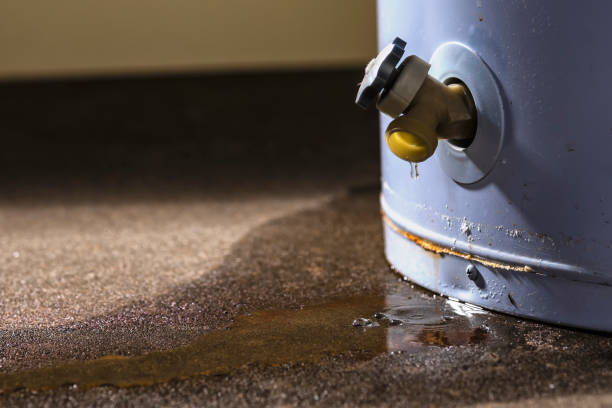 Best 24/7 water damage repair  in Coyne Center, IL