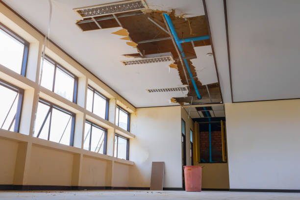 Best Water damage restoration process  in Coyne Center, IL