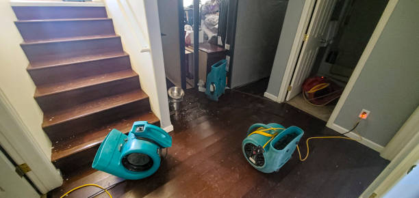 Best Local water damage restoration  in Coyne Center, IL