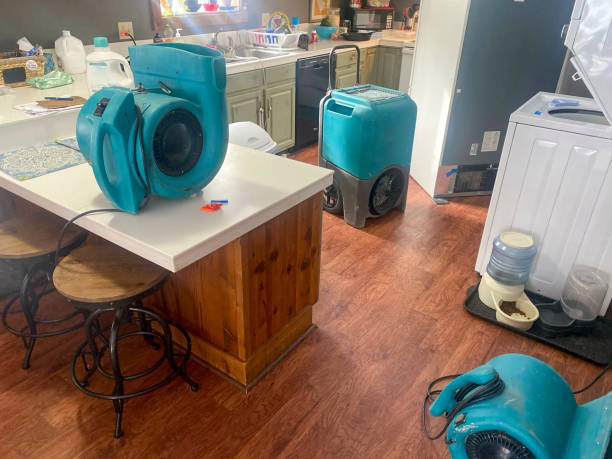 Best Sewage cleanup and water damage restoration  in Coyne Center, IL