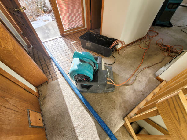 Best Water damage restoration near me  in Coyne Center, IL