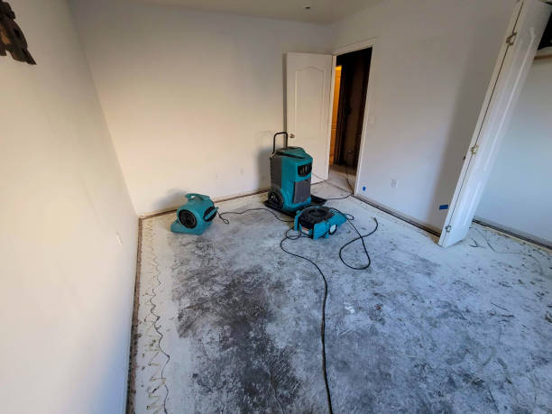 Best 24-hour water damage restoration  in Coyne Center, IL