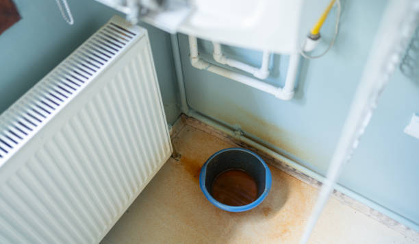 Best Water damage restoration experts  in Coyne Center, IL