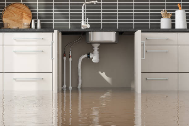 Best Residential water damage restoration  in Coyne Center, IL