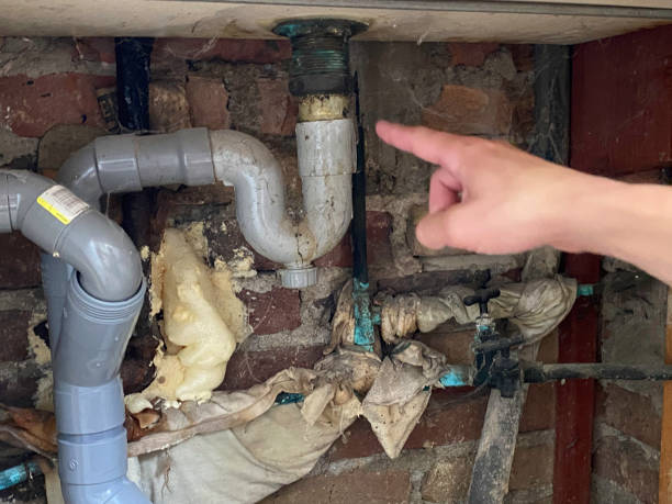 Best Carpet water damage restoration  in Coyne Center, IL