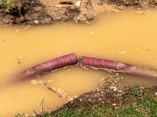 Best Water damage restoration near me  in Coyne Center, IL
