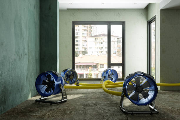 Best Water damage contractors near me  in Coyne Center, IL